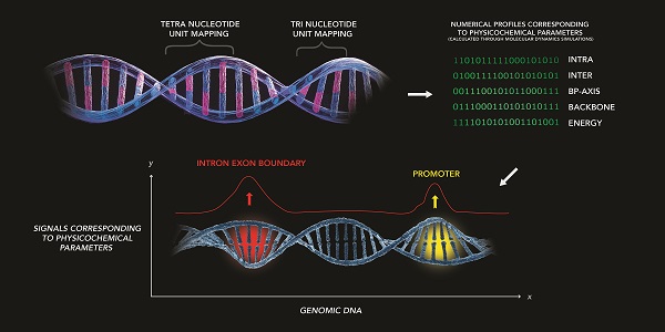Research Image 1