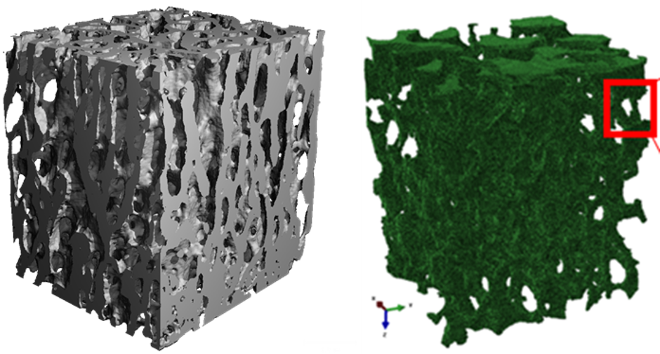 Microstructure-based modelling of porous snow material