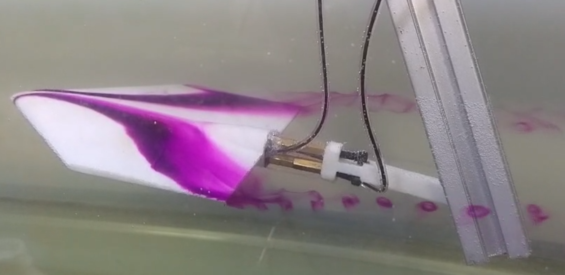 Delta wing flow visualization