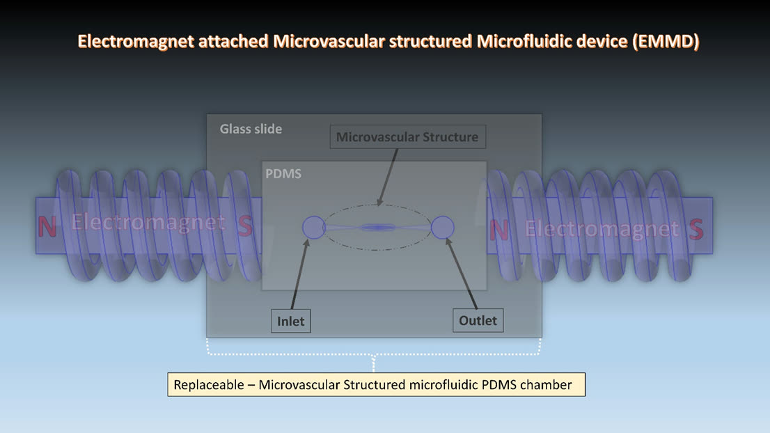 Microfluidic chamber used to replicate microvascular structure.
