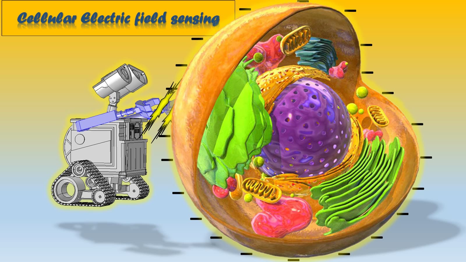 Magnetoelectric core-shell nanorobots imaged under an electron microscope.