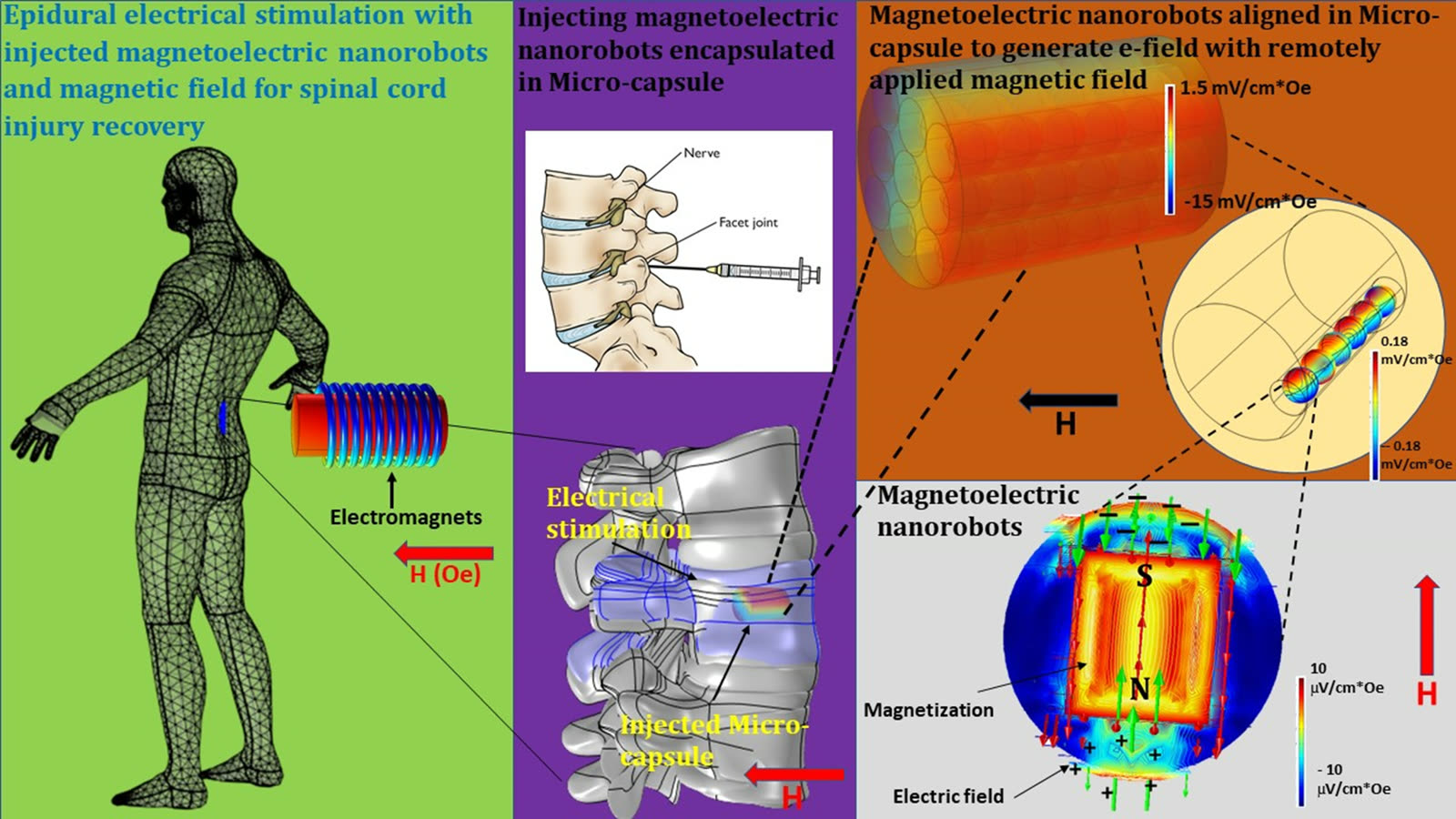 Spinal cord injury recovery research.